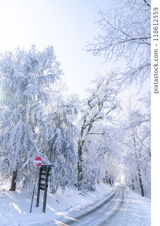 Winter landscape with snow-covered trees and road 118612559