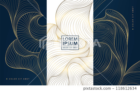 Vector set of abstract luxury package background, line wave pattern for wine, chocolate, jewelry, perfume package. Elegant art graphic, fancy style. 118612634