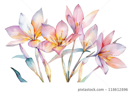 美麗的綠色花椰菜 美麗的綠色花椰菜 118612896