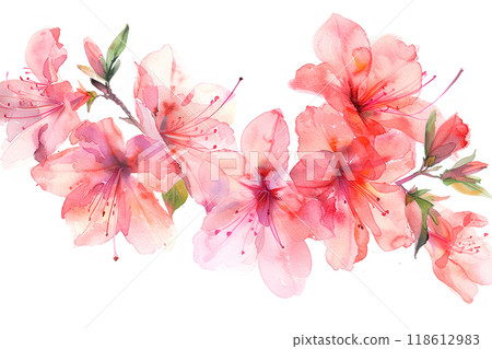 美麗的杜鵑花花 118612983