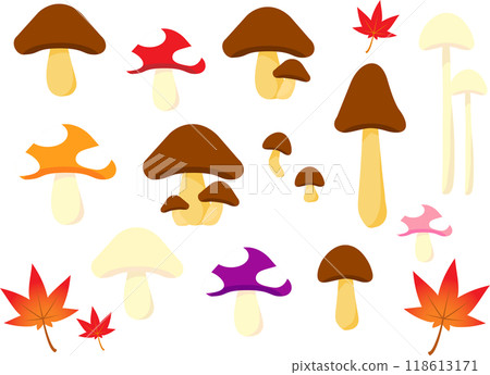 Mushroom illustration set 118613171
