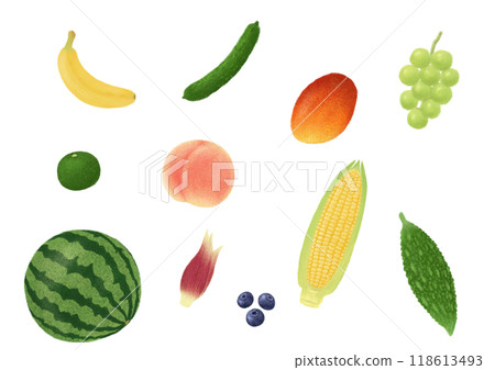 夏季食物手繪插圖 118613493