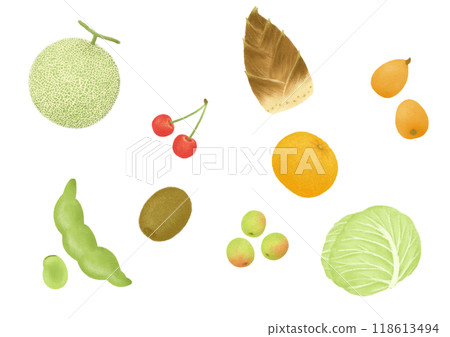 春天的食物手繪插畫 118613494