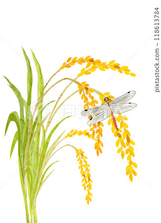 稻穗紅蜻蜓秋稻田剪紙插畫 118613784