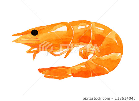 蝦子烹飪/食物手繪水彩插畫素材 118614045