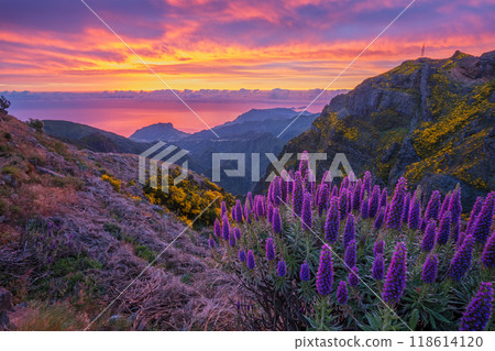 View near Pico do Arieiro, Portugal on sunrise 118614120