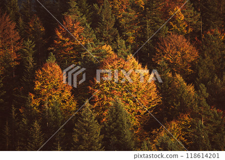 Autumn mountain landscape 118614201