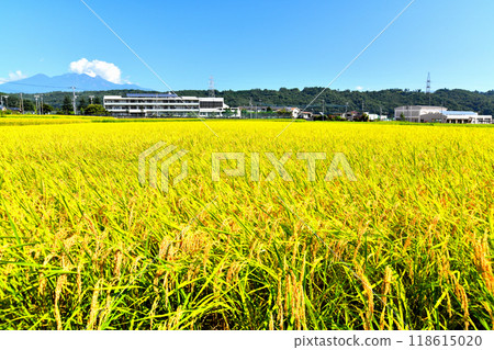 竹川中學週邊景觀（山梨縣北斗市） [2024.9] 118615020
