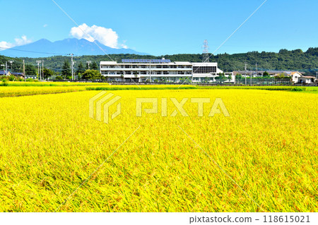 竹川中學週邊景觀（山梨縣北斗市） [2024.9] 118615021