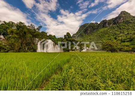 Ban Gioc waterfall in Cao Bang, Viet Nam 118615258