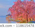 A collaboration between Ukimido and weeping cherry blossoms 118615478