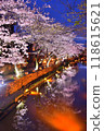 Cherry blossoms at night in Hachimanbori 118615621