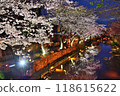 Cherry blossoms at night in Hachimanbori 118615622