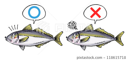 Judging horse mackerel set (True or False) 118615718