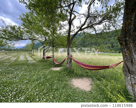 Hammock in the north of Albania . Hammock in the north of Albania . 118615986