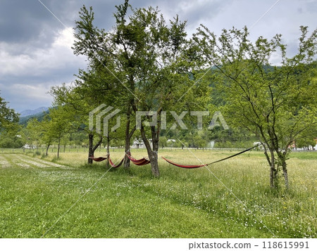 Hammocks in the north of Albania .  118615991
