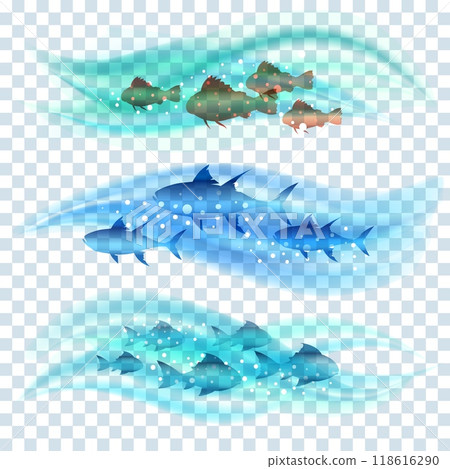 Shoals of fish in sea water 118616290