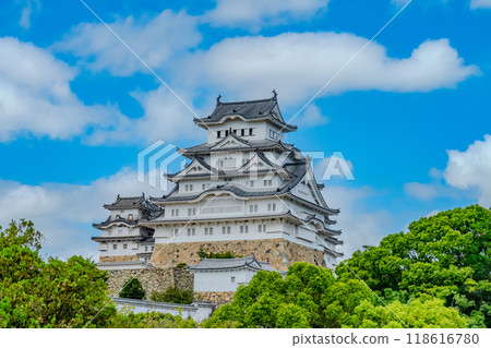 Himeji castle in the blue sky Himeji castle in the blue sky 118616780