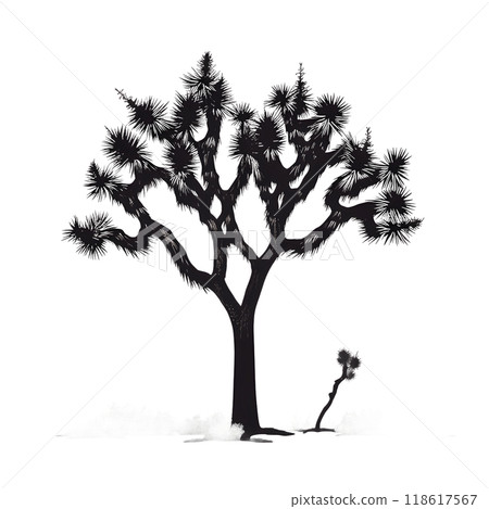 Black silhouette of a tree, palm on white background. Black silhouette of a tree, palm on white background. 118617567