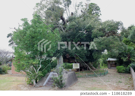 千葉縣君津市嘉淵芝 千葉縣君津市嘉淵芝 118618289