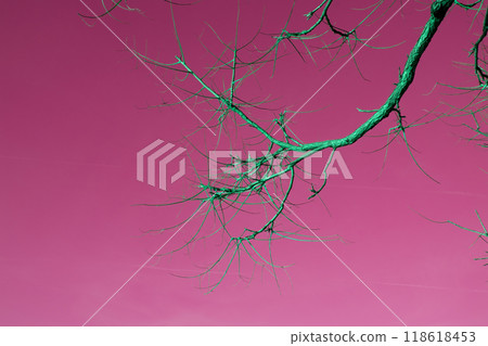 Tree branch with fallen leaves on a colorful background Tree branch with fallen leaves on a colorful background 118618453