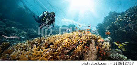 Scuba Diver Swimming in Deep Sea with Sunrays and Beautiful Coral Reef with Colorful Fishes 118618737