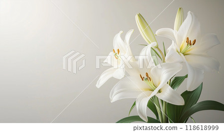 Lily flower Lily flower 118618999