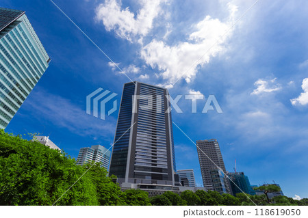 九芝皇家花園 2023 年秋季 4 118619050