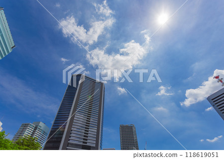 九芝皇家花園 2023 年秋季 5 118619051