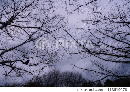 風景 風景 118619078