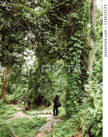 tourists walk in the forest tourists walk in the forest 118619174