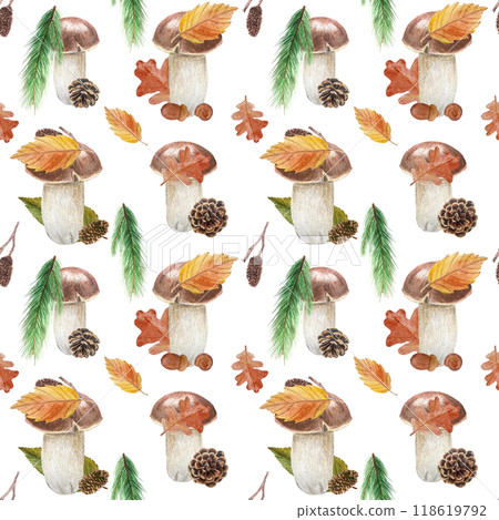 Porcini mushroom, alder leaf, cones, pine, oak watercolor seamless pattern isolated on white. High quality hand painted plant botanical illustration perfect for textile, posters, patterns, autumn Porcini mushroom, alder leaf, cones, pine, oak watercolor seamless pattern isolated on white. High quality hand painted plant botanical illustration perfect for textile, posters, patterns, autumn 118619792