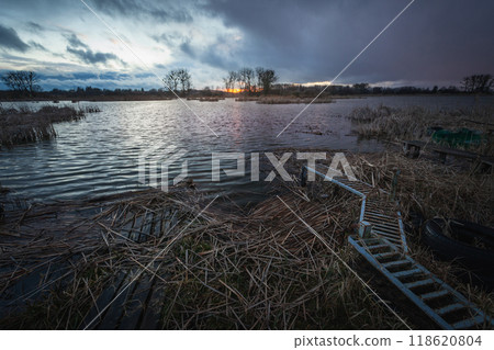 Lake shore with reeds and a cloudy evening sky 118620804