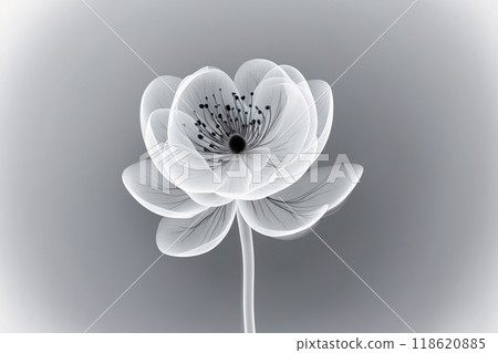 Luxury watercolor nature background. Floral pattern, exotic flowers, line arts illustration. AI generated 118620885