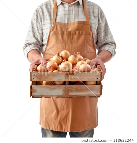 A farmer in an apron holds box with fresh cucumbers on a white or transparent background. Front view. Trading cucumbers at the market. 118621244