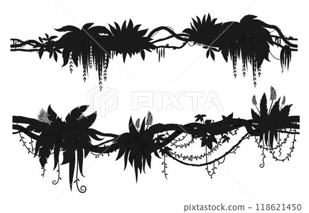 Tropical jungle forest liana branch silhouettes. Vector black vines and leaves of rainforest tree, climbing plant or creeper. Tropical floral borders set of jungle tree branches and vines silhouettes Tropical jungle forest liana branch silhouettes. Vector black vines and leaves of rainforest tree, climbing plant or creeper. Tropical floral borders set of jungle tree branches and vines silhouettes 118621450
