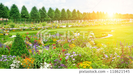 Beautiful garden with a flower garden and sunrise. 118621545