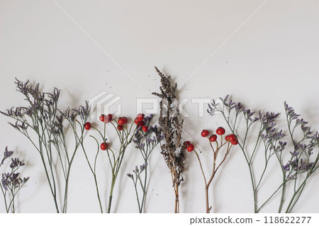 Floral styled image composition, banner. Dry limonium flowers, red rose hips, grass and little seeds isolated on white table background. Flatlay, top view. Autumn, winter decorative natural still life 118622277
