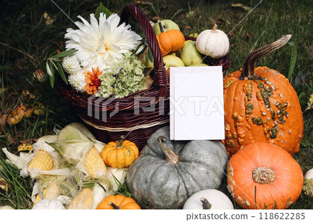 Autumn outdoor composition. Pumpkins, corns and dahlia flowers. Apples, grapes fruit in basket. Garden fall harvest. Empty greeting card invitation mockup Thanksgiving arrangement, Halloween concept 118622285
