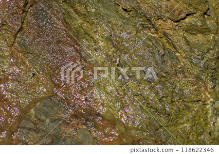 colorful rock bathed by water and sun 118622346