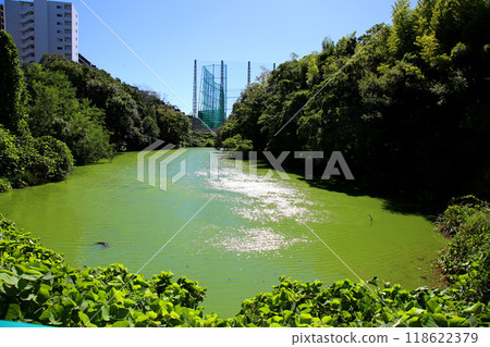 Ishigame Pond 118622379