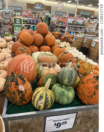 Overseas super 118623739