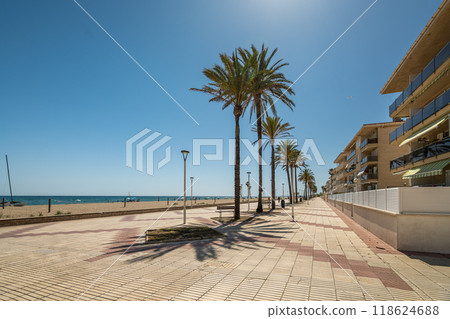 A beautiful and sunny beachside promenade, lined with tall palm trees swaying gently 118624688