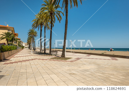 A beautiful sunny beachfront adorned with lovely palm trees creating a perfect tropical escape 118624691