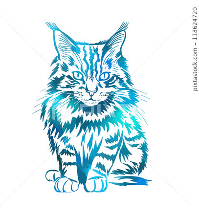 Beautiful blue cat. Maine Coon cat. hand drawing. Not AI, Vector illustration 118624720