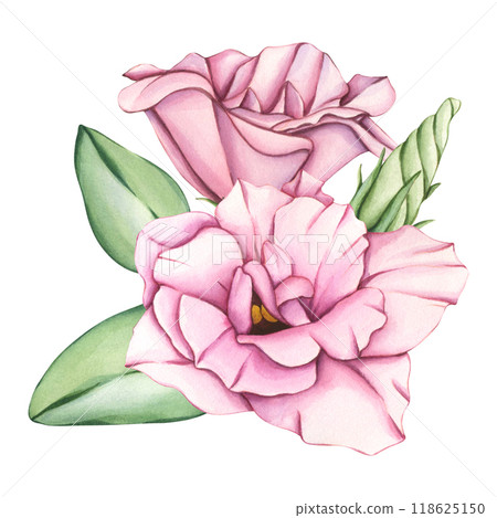 Watercolor composition with pink flowers and leaves. Hand drawn Floral Eustoma bud illustration isolated on white background. Template for wedding floral invitation, card, cosmetic. Texas bluebell Watercolor composition with pink flowers and leaves. Hand drawn Floral Eustoma bud illustration isolated on white background. Template for wedding floral invitation, card, cosmetic. Texas bluebell 118625150