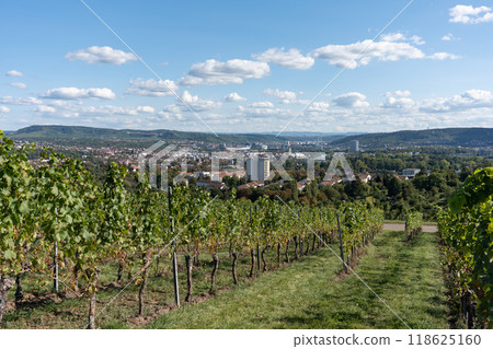 A beautiful view of the city through a vineyard. 118625160