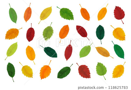 Autumn realistic yellow, red, orange, green leaves. Decorative botanical seasonal elements. Vector Autumn realistic yellow, red, orange, green leaves. Decorative botanical seasonal elements. Vector 118625783