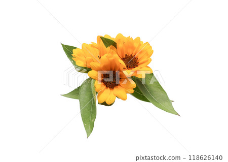 Bouquet of sunflowers on white background Bouquet of sunflowers on white background 118626140