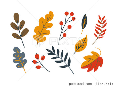 Autumn set with leaves and berries. Vector illustration in doodle style, flat style	 118626313